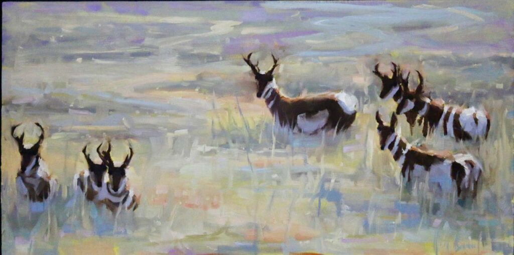 Pronghorns, Tall Grass by Kim Barrick